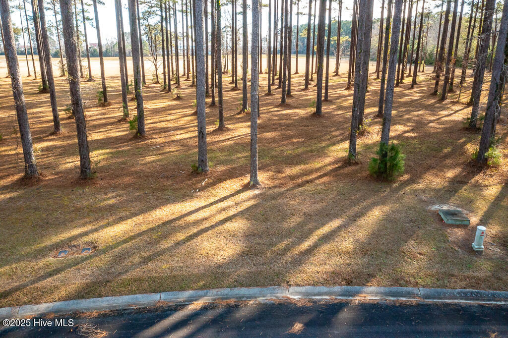 167 Frying Pan Loop Property Photo 2
