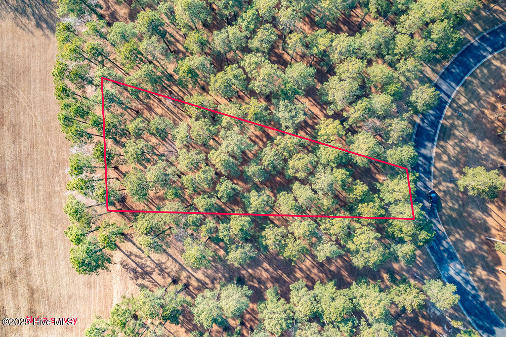 167 Frying Pan Loop Property Photo 3