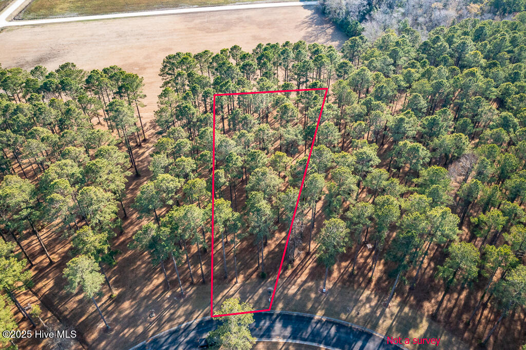 167 Frying Pan Loop Property Photo 4