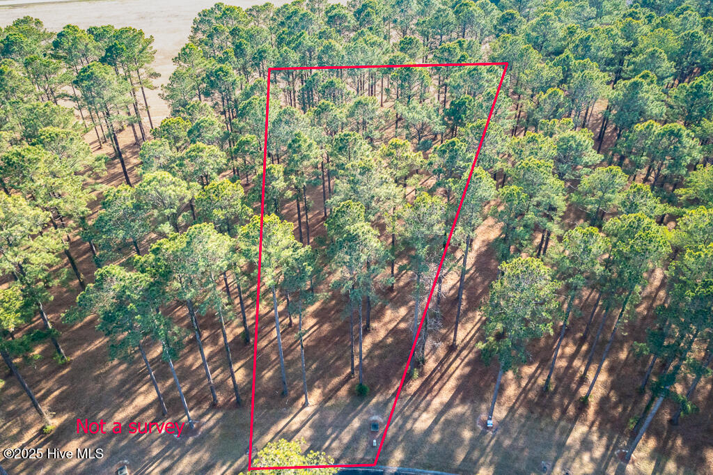 167 Frying Pan Loop Property Photo 5