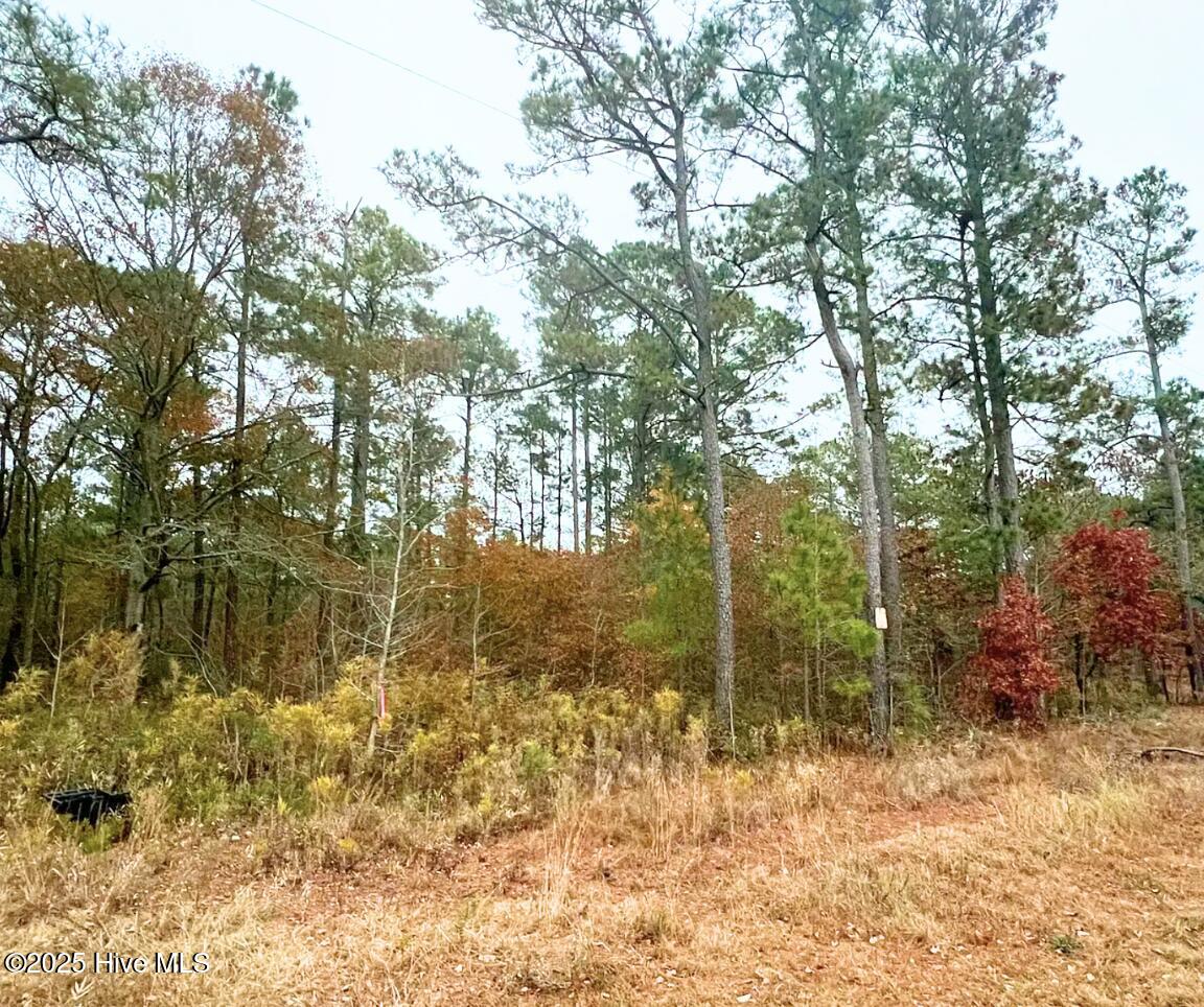 Lot 14 Sr 1730 Property Photo 2