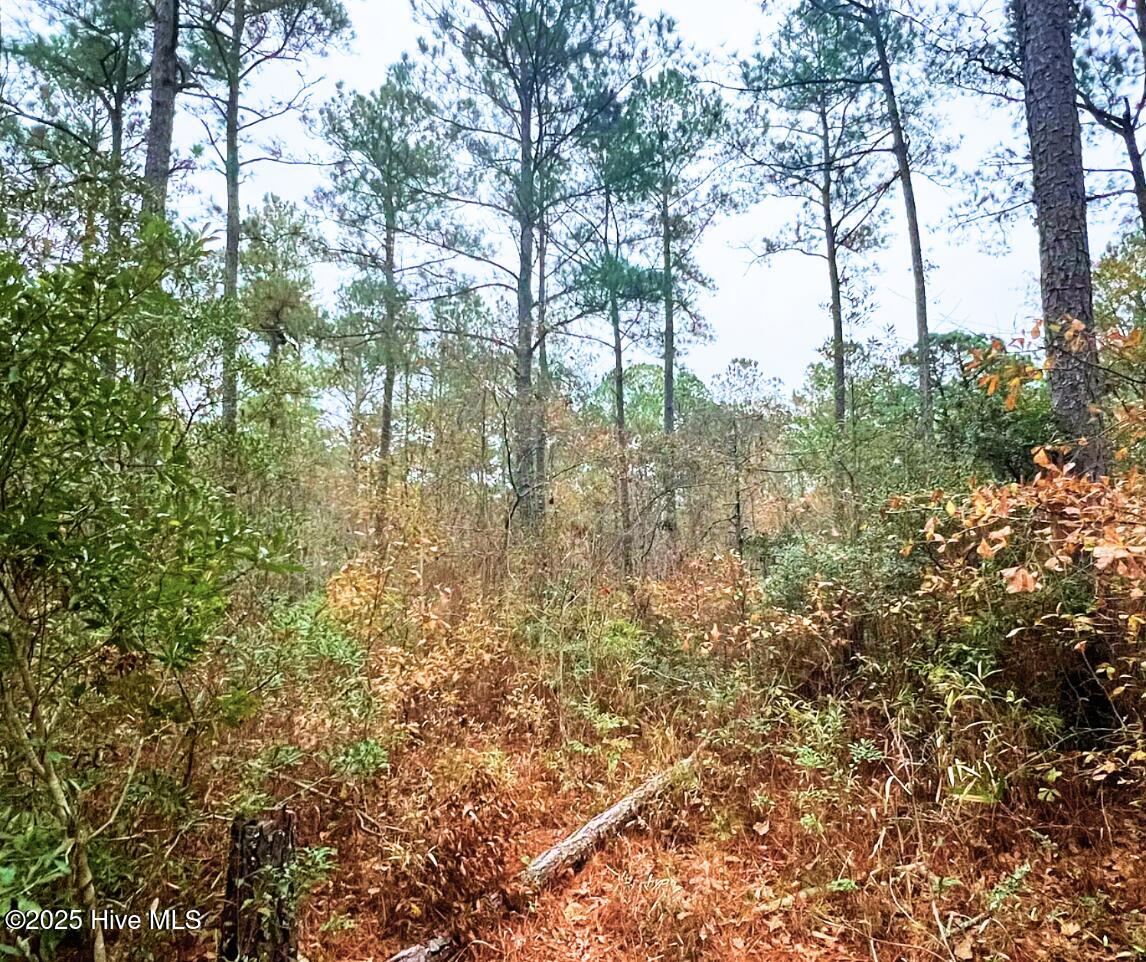 Lot 14 Sr 1730 Property Photo 3