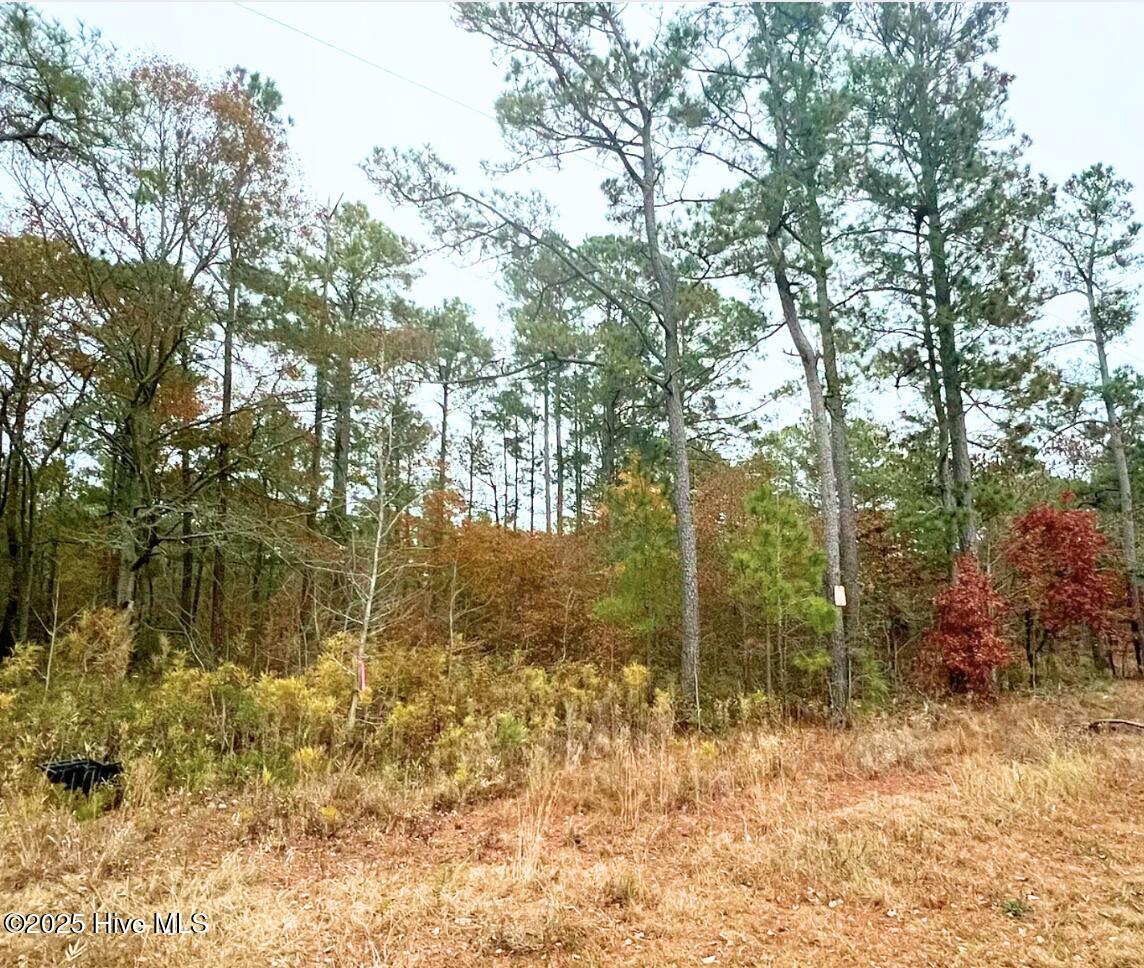 Lot 14 Sr 1730 Property Photo 5