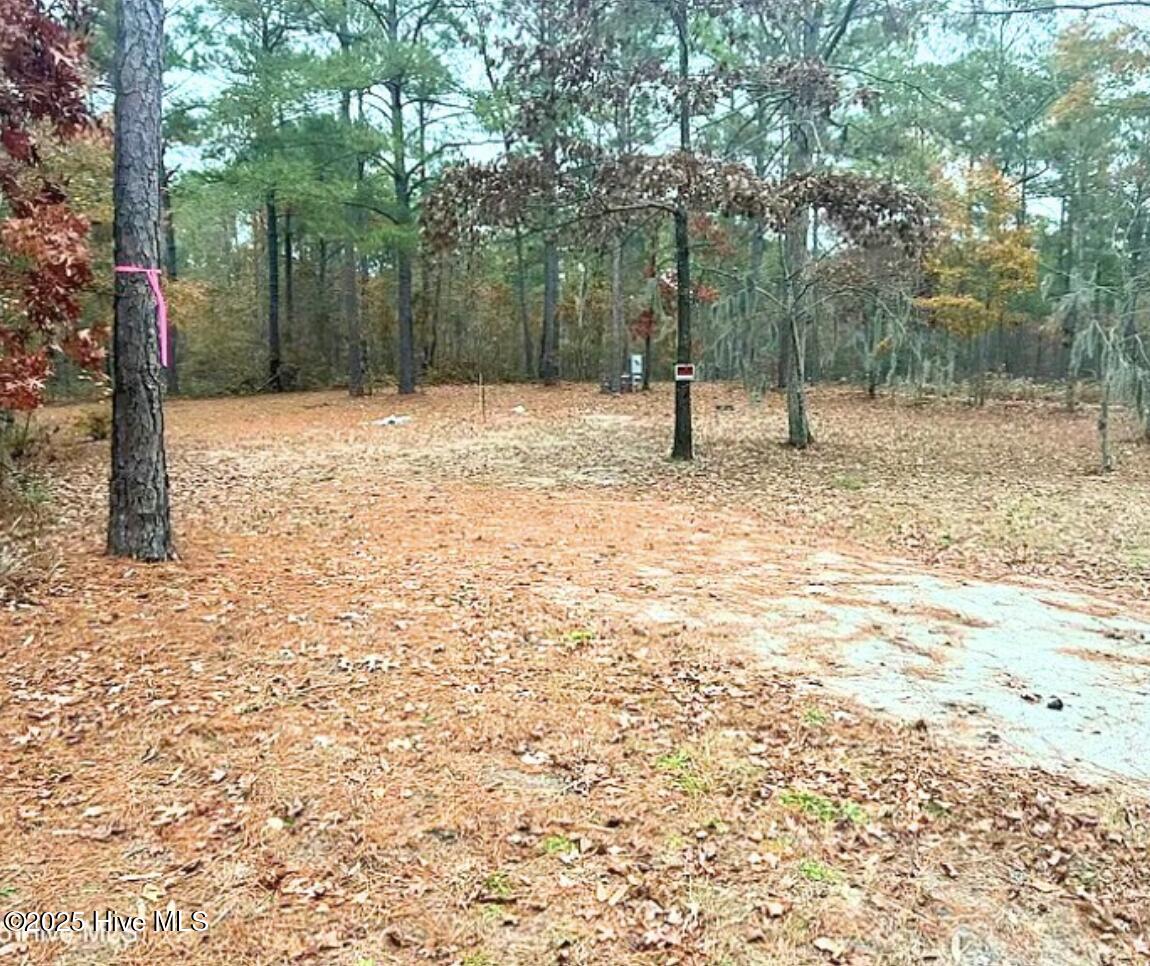 Lot 14 Sr 1730 Property Photo 11