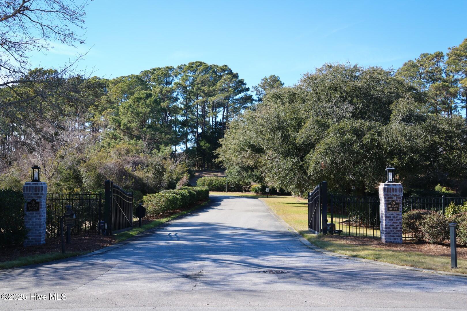 4017 Barnes Bluff Drive Property Photo 15