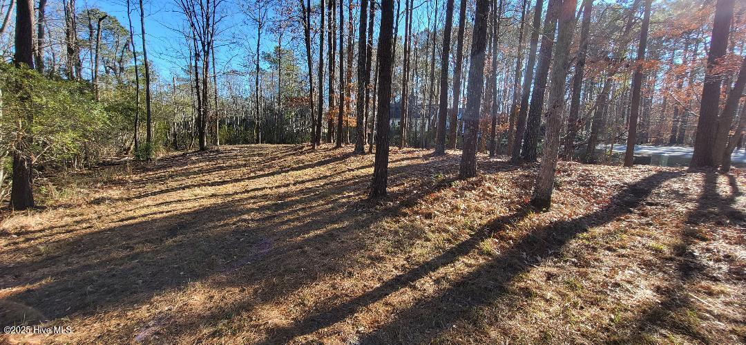 135 Greenwood Drive Property Photo 8