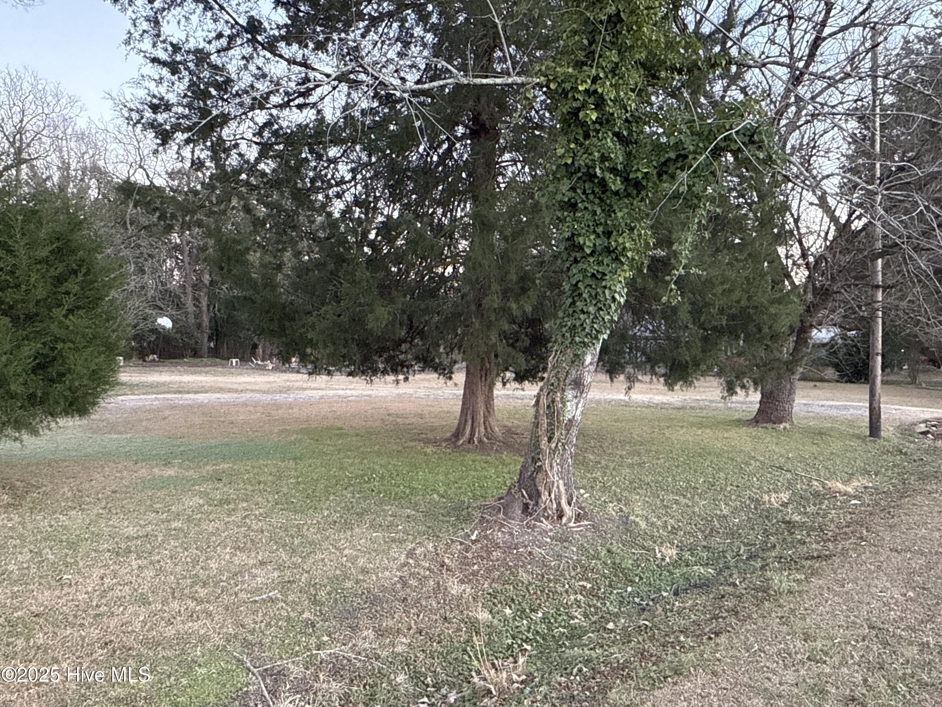 1222 Wilson St. Ext Property Photo 4