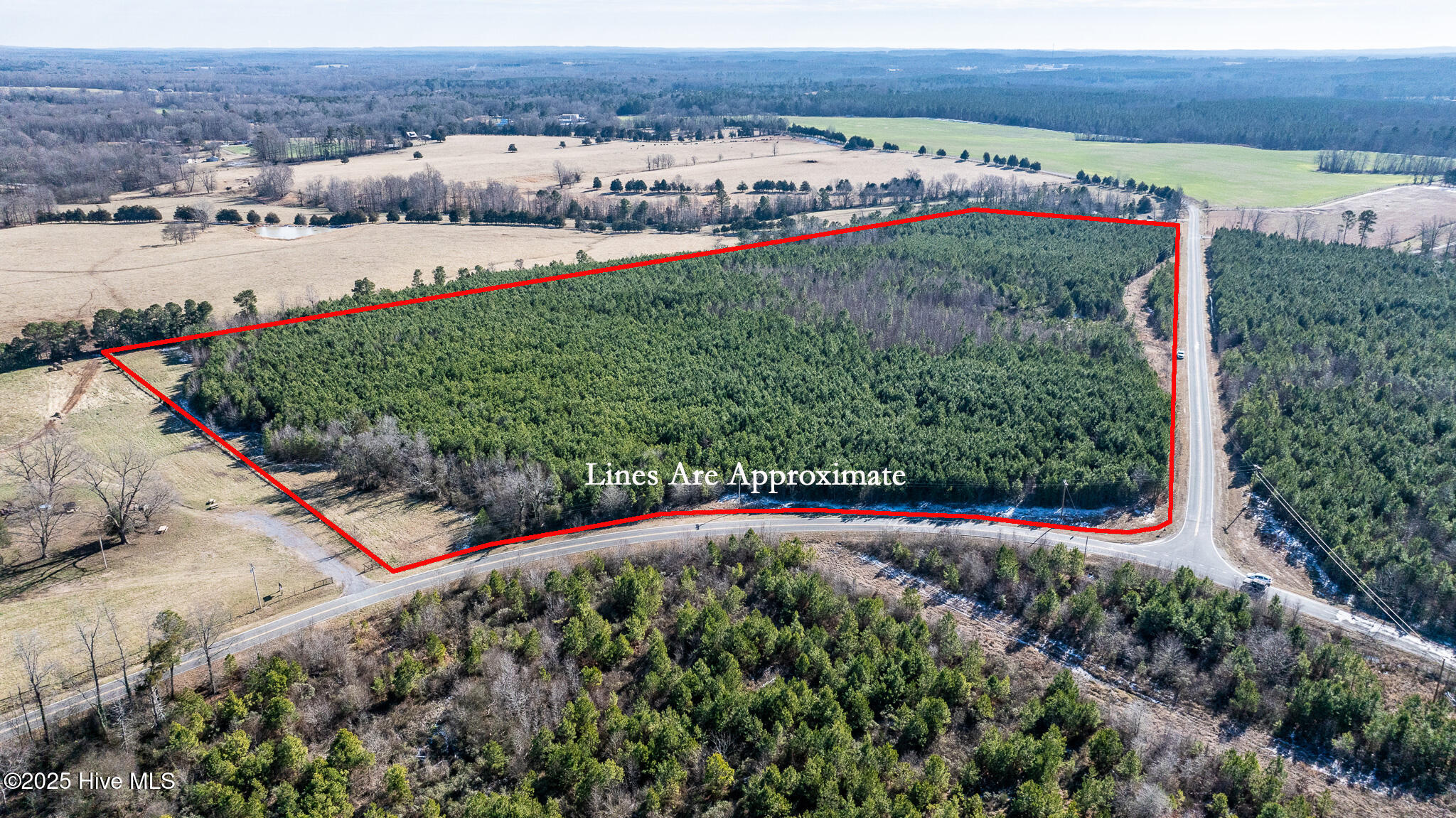 1100 Ben Smith Road Property Photo 5