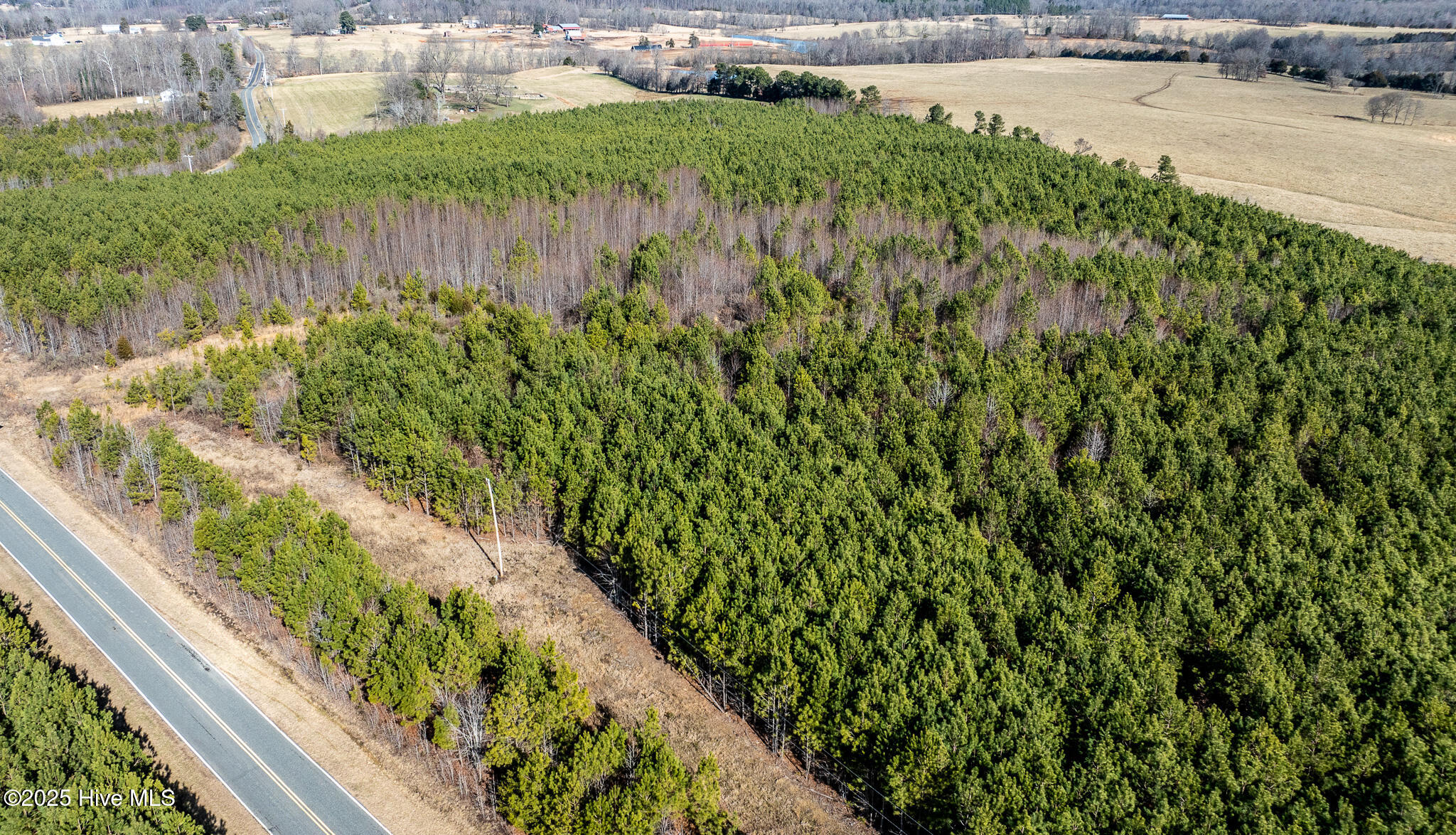 1100 Ben Smith Road Property Photo 39