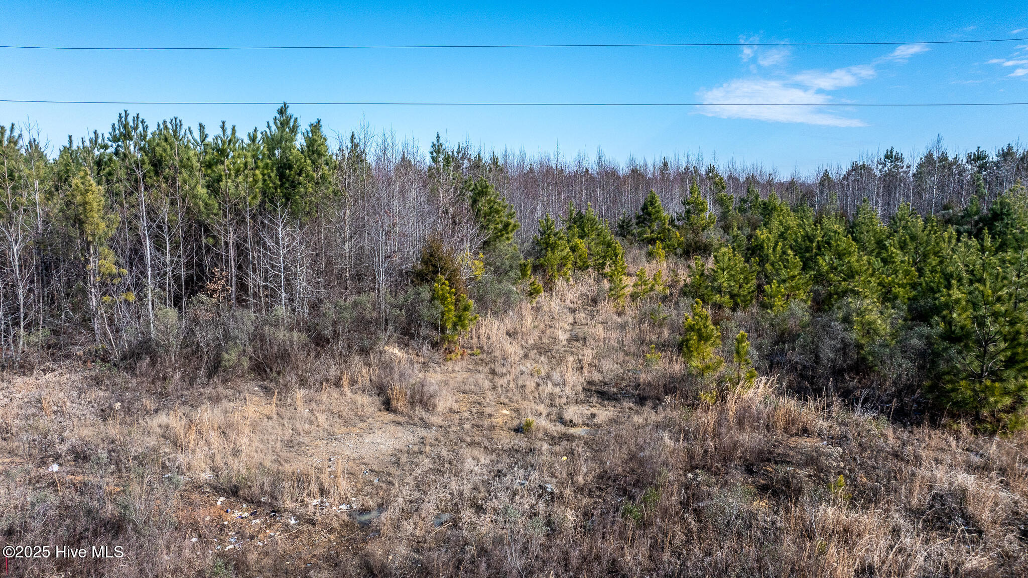 1100 Ben Smith Road Property Photo 44