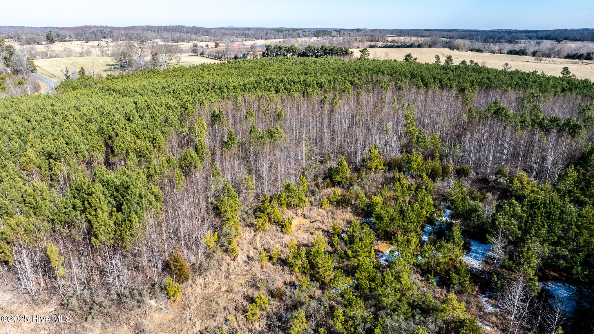 1100 Ben Smith Road Property Photo 45