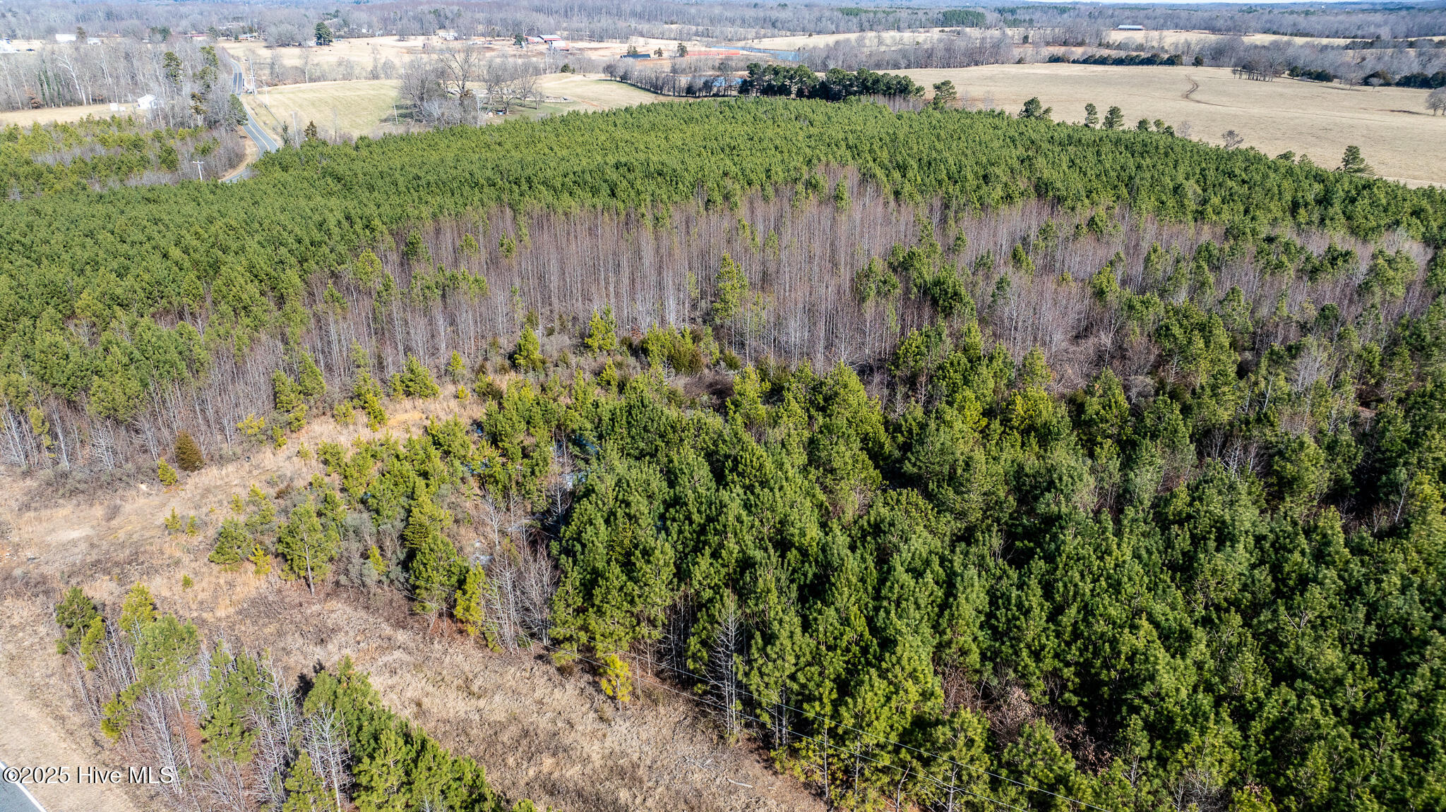 1100 Ben Smith Road Property Photo 46