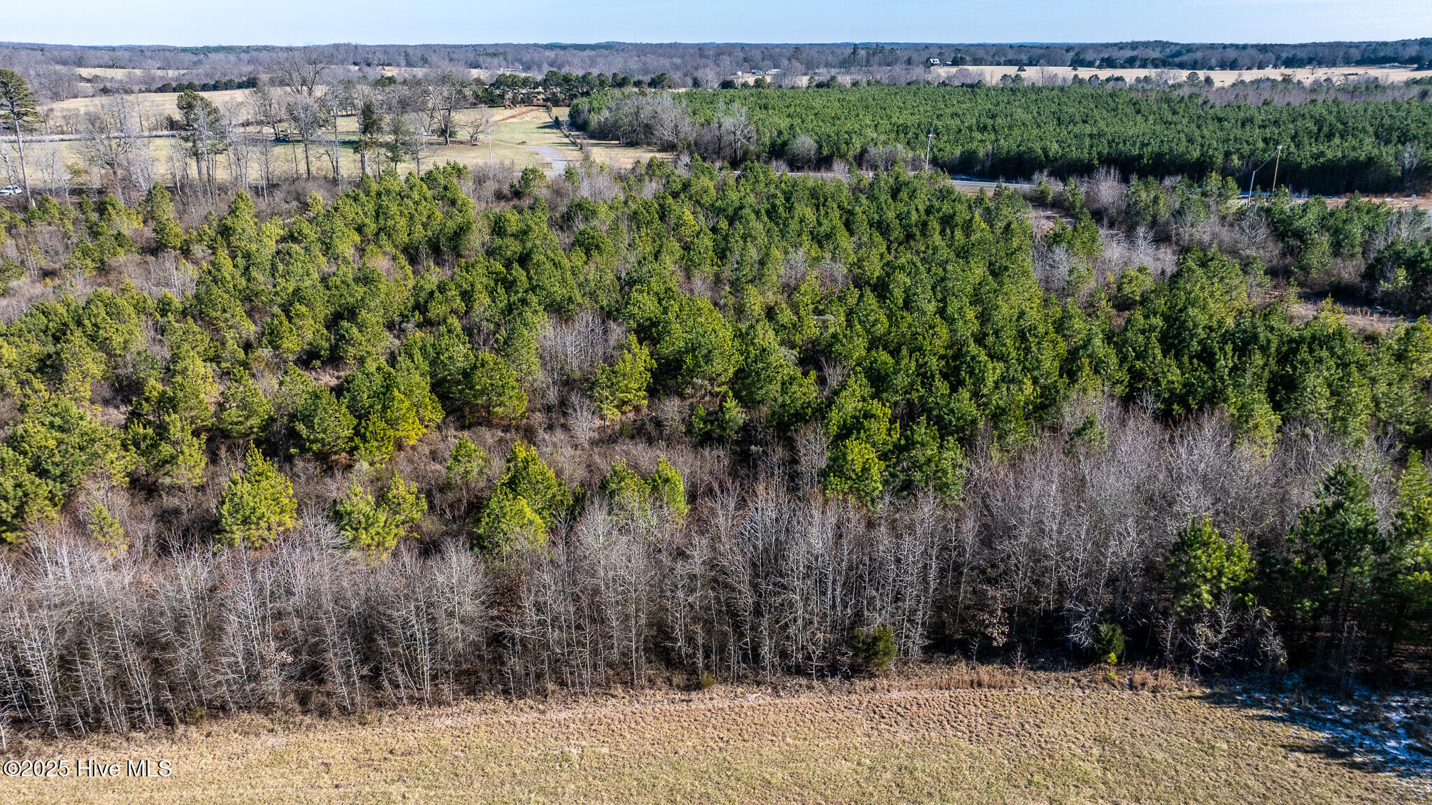 1100 Ben Smith Road Property Photo 55