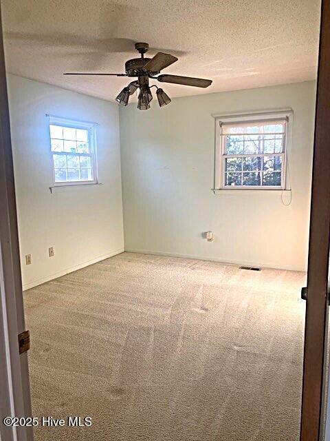 204 Kerry Court Property Photo 29