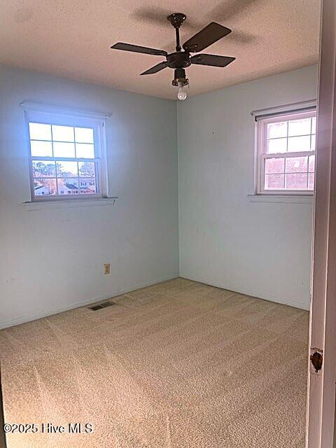 204 Kerry Court Property Photo 31