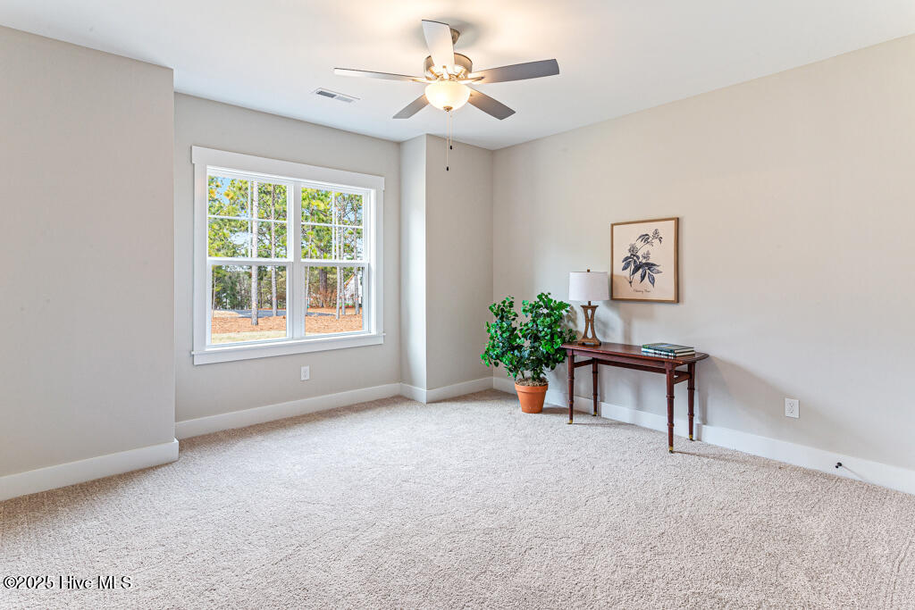 101 White Drive Property Photo 24