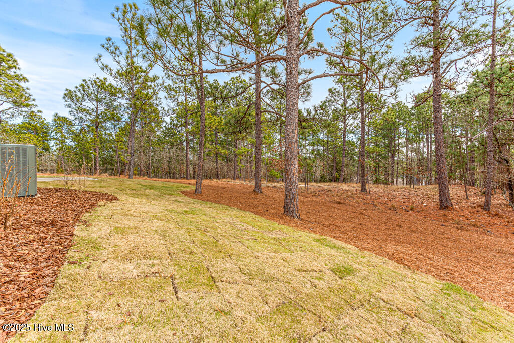 101 White Drive Property Photo 35