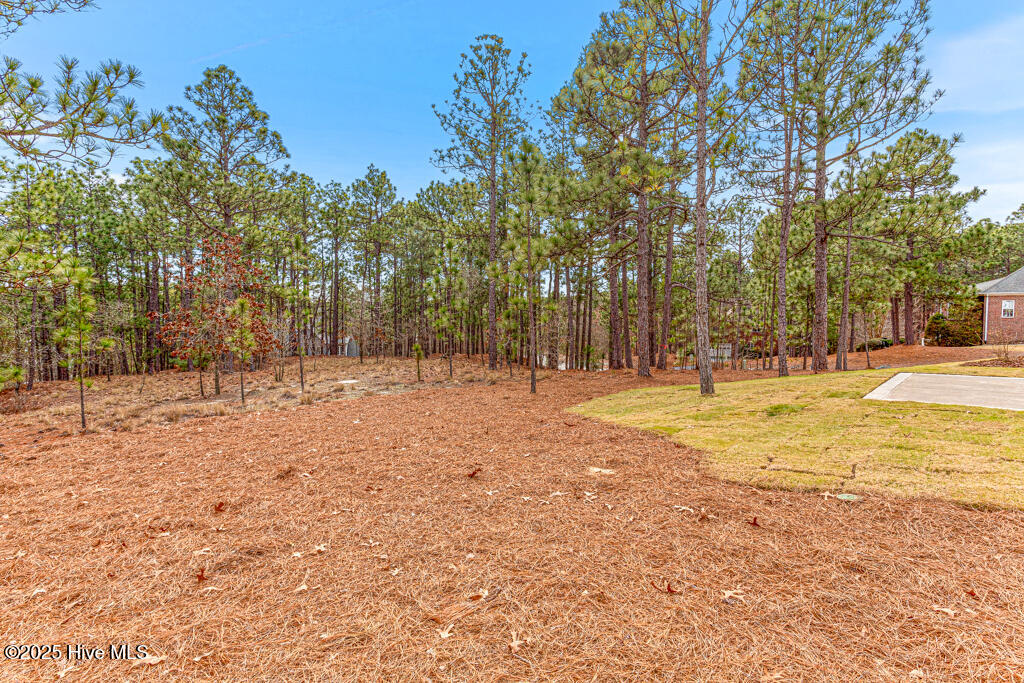 101 White Drive Property Photo 36