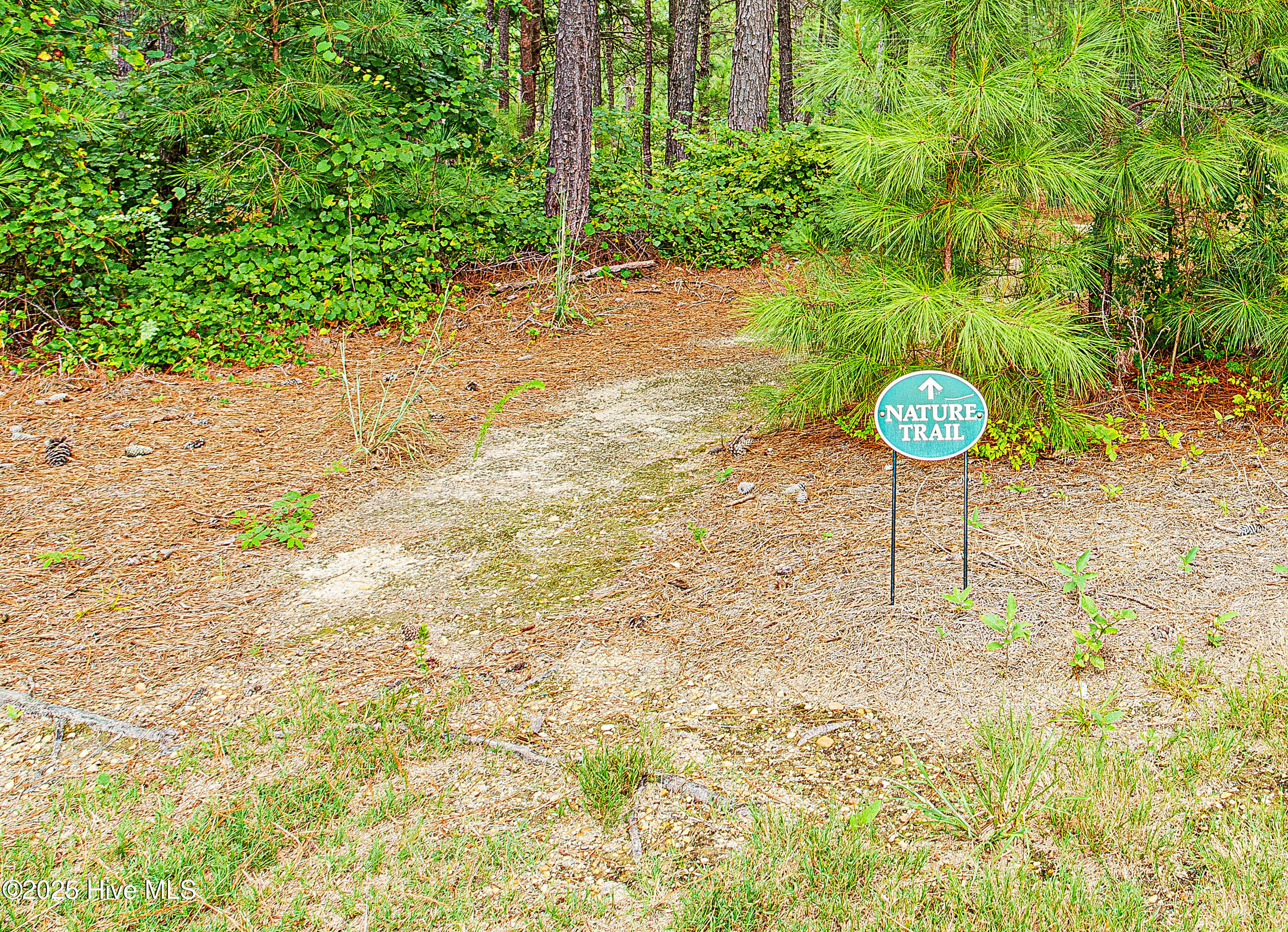 101 White Drive Property Photo 54