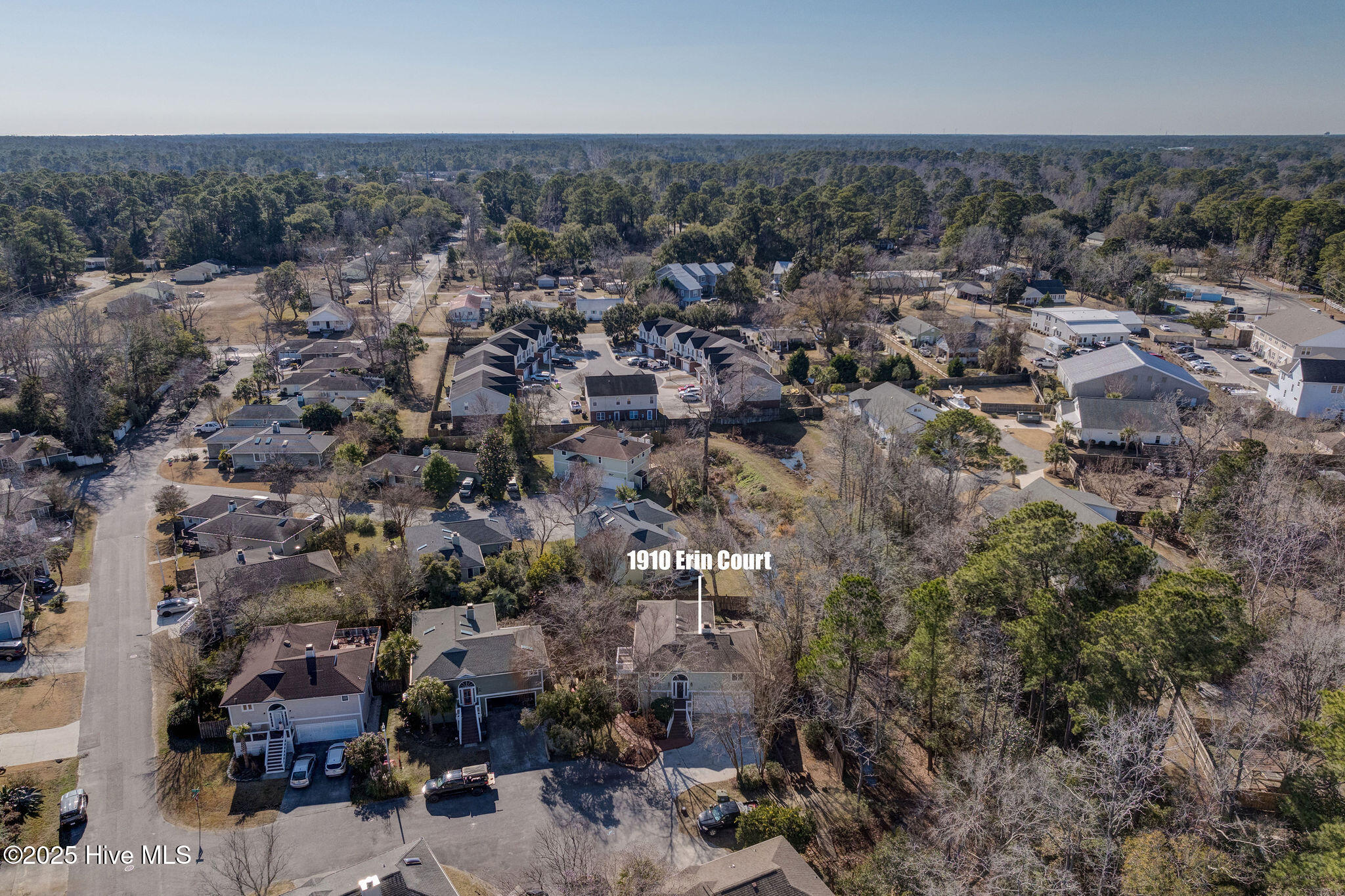 1910 Erin Court Property Photo 4