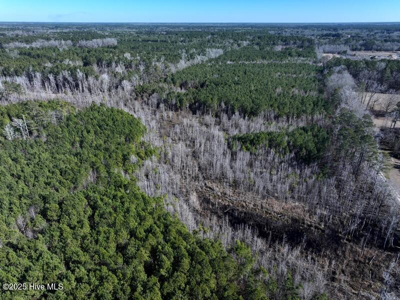 7120 Matt Hair Road Property Photo 5