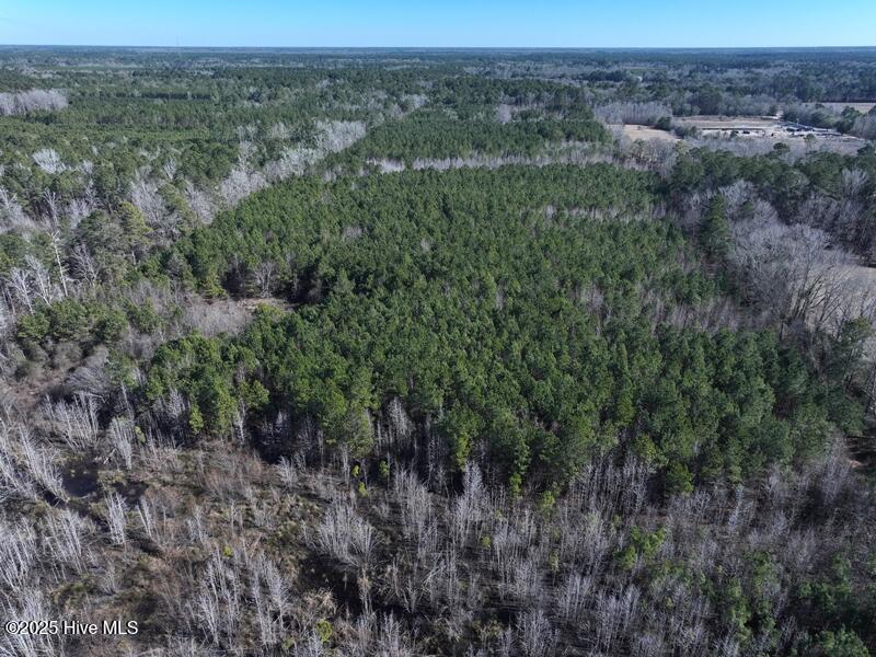 7120 Matt Hair Road Property Photo 6