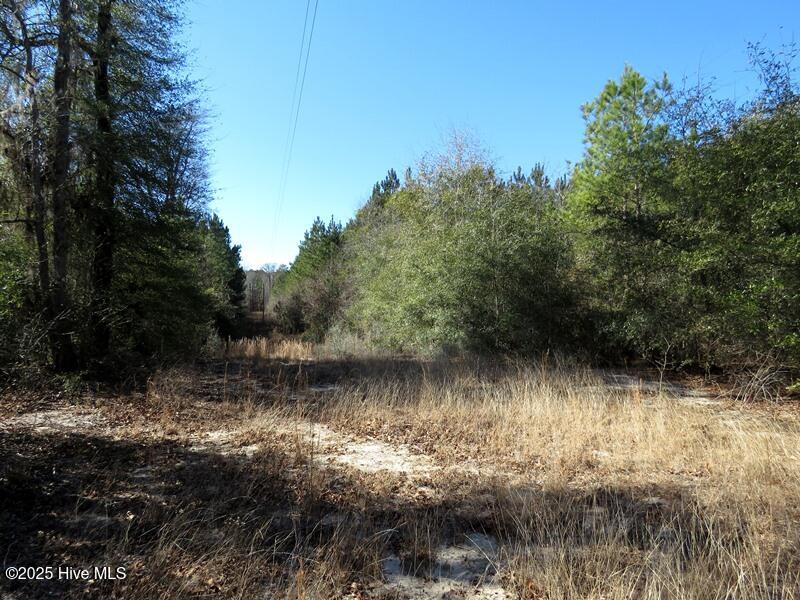 7120 Matt Hair Road Property Photo 17
