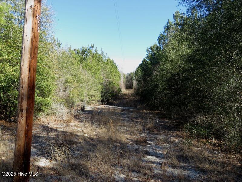 7120 Matt Hair Road Property Photo 18