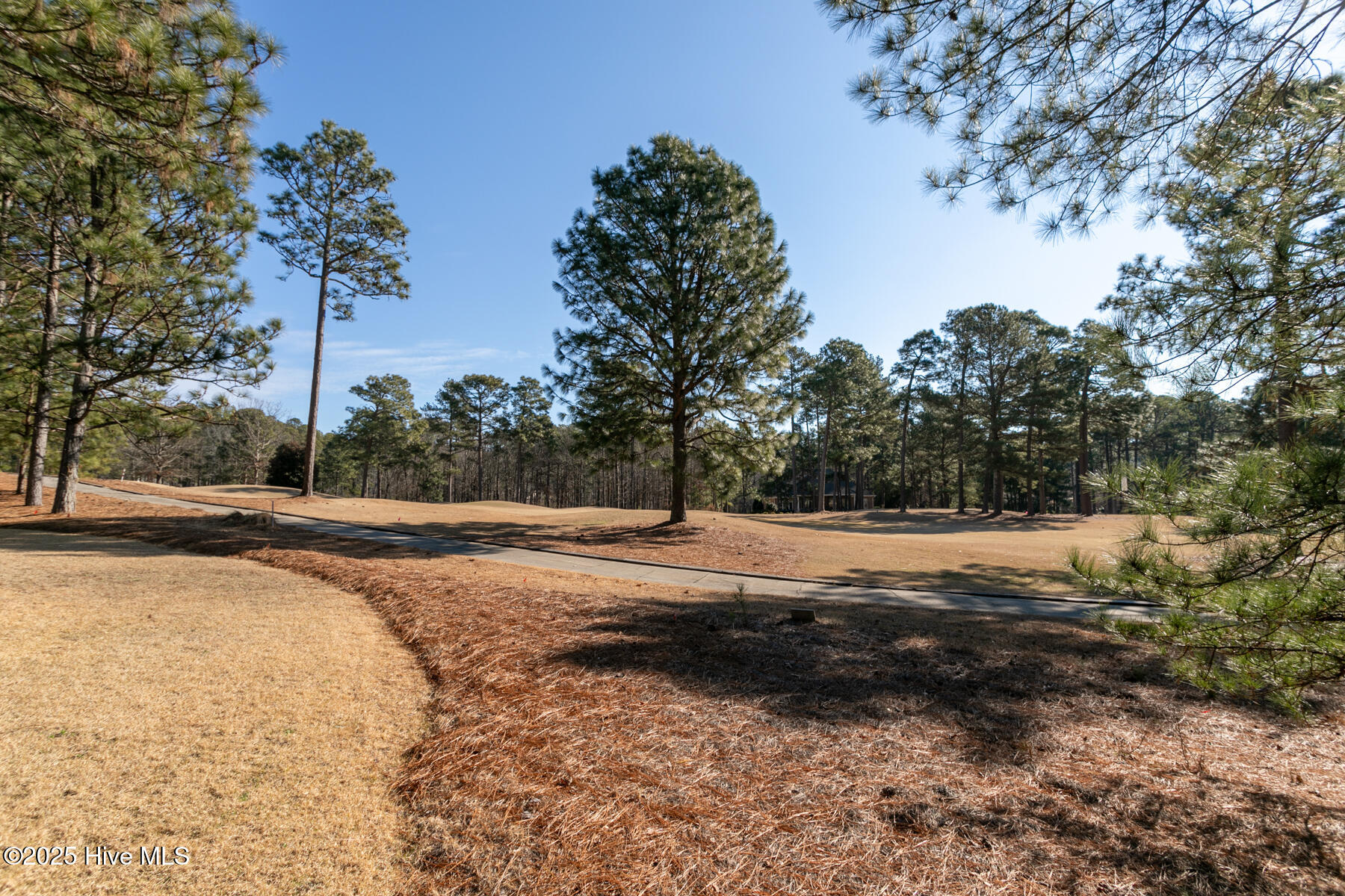 47 Kilbride Drive Property Photo 31