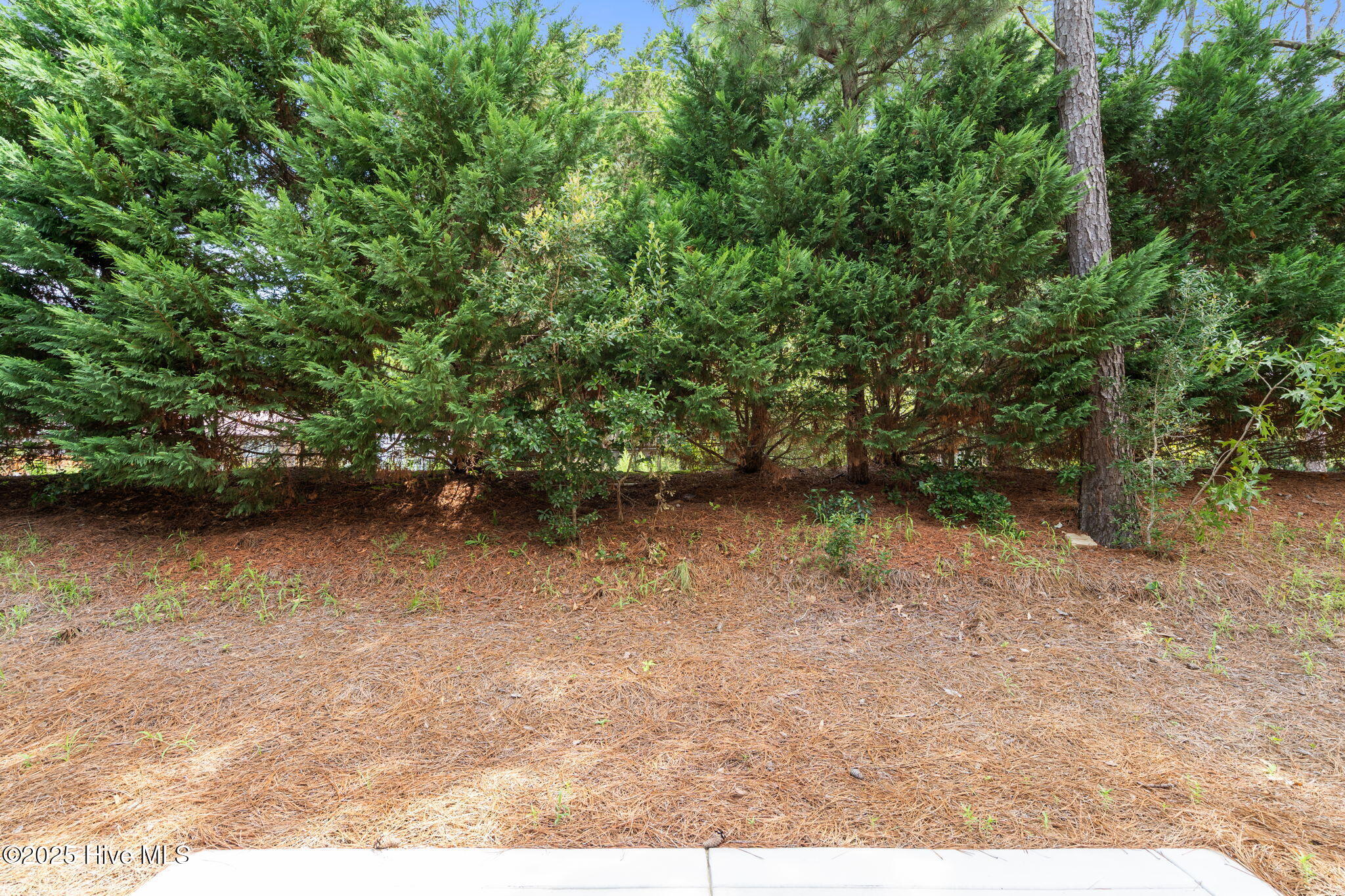 6 Castle Bridge Court Property Photo 60