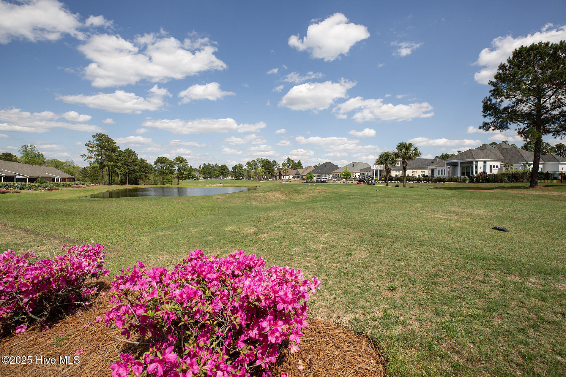 8412 Caladenia Way Property Photo 37