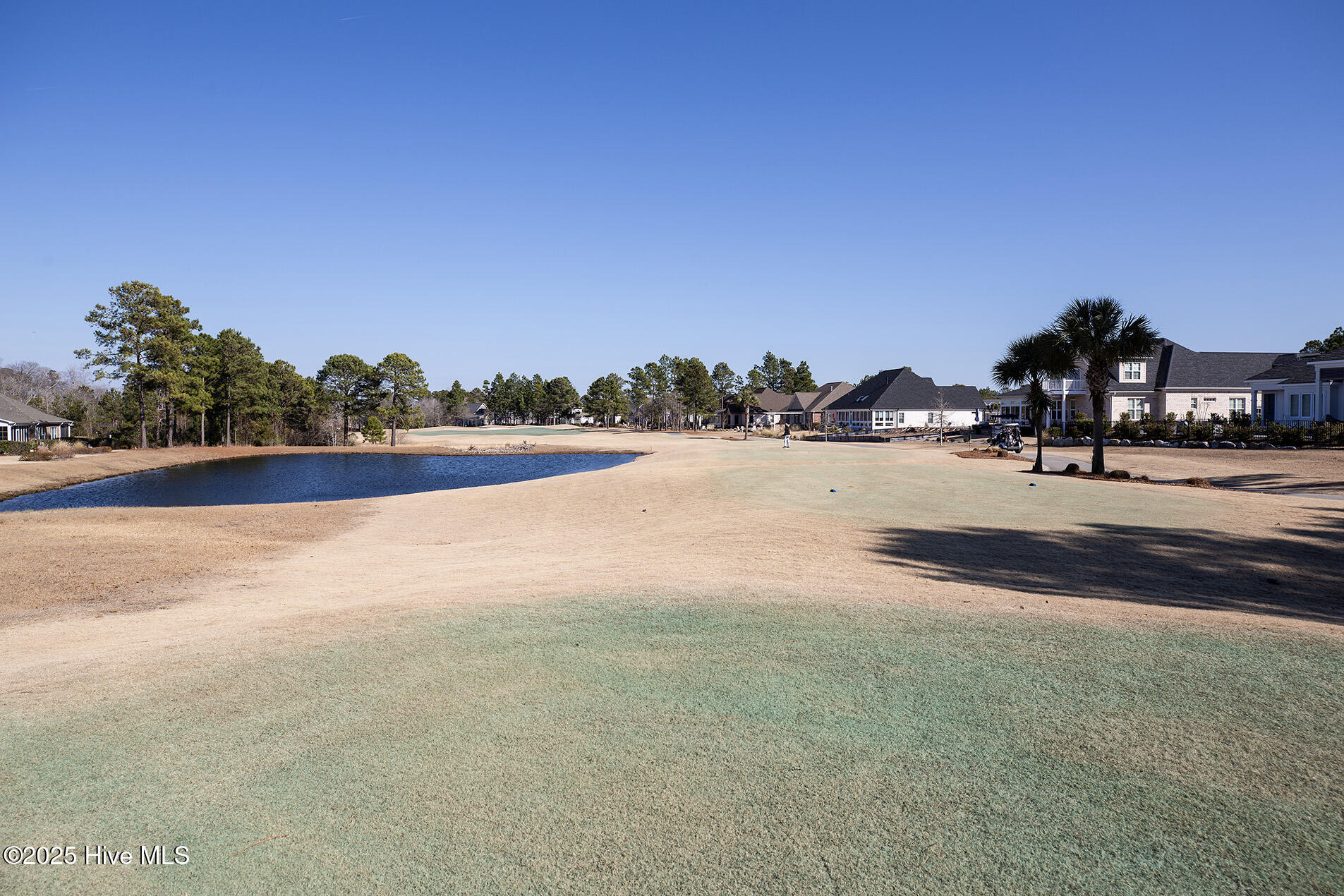 8412 Caladenia Way Property Photo 44