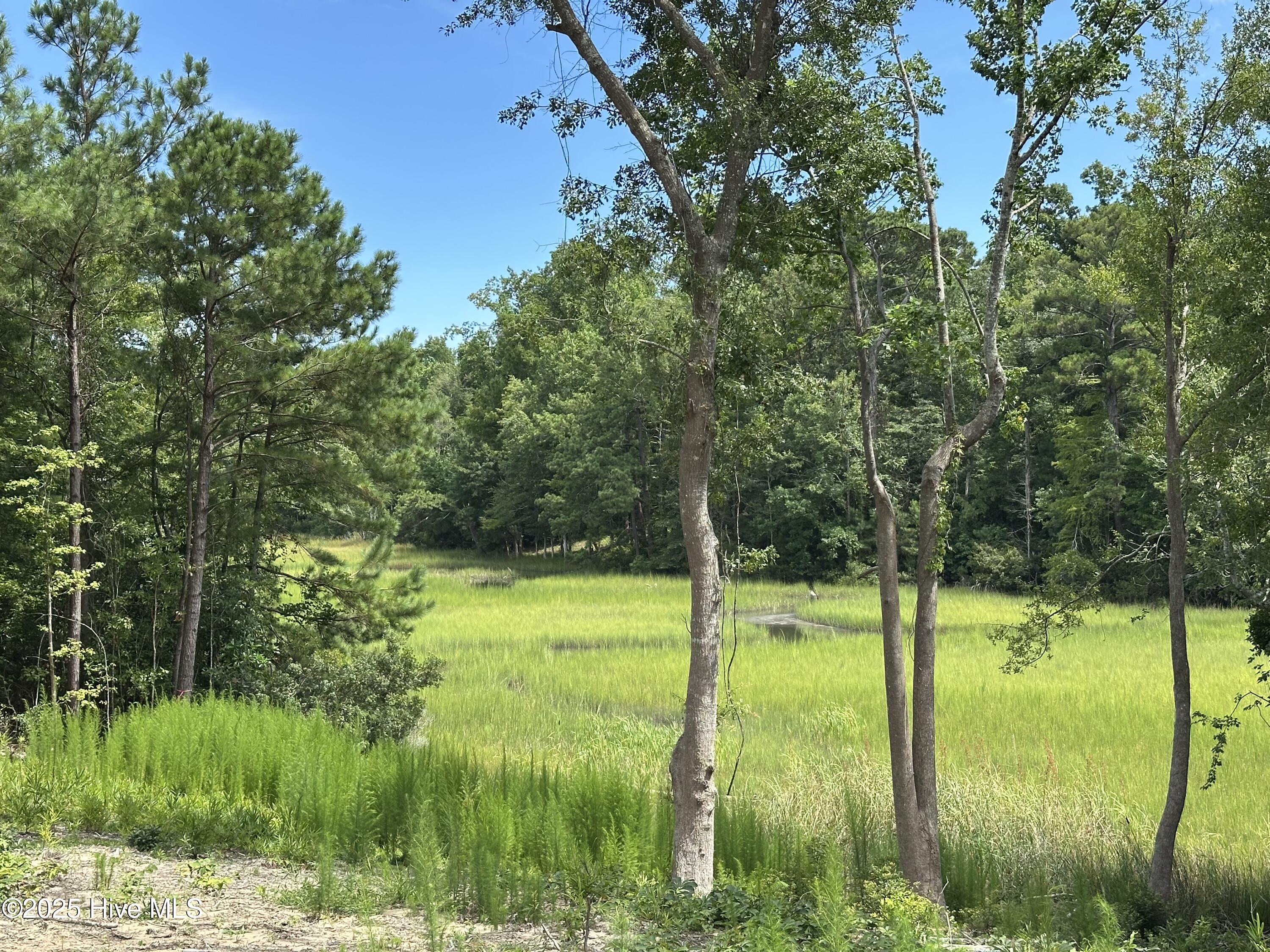 1 Williams Store Rd Road Property Photo 2