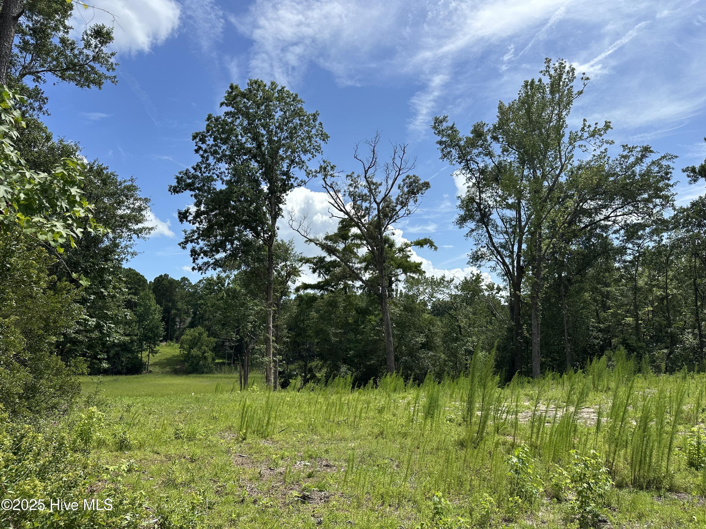 1 Williams Store Rd Road Property Photo 5