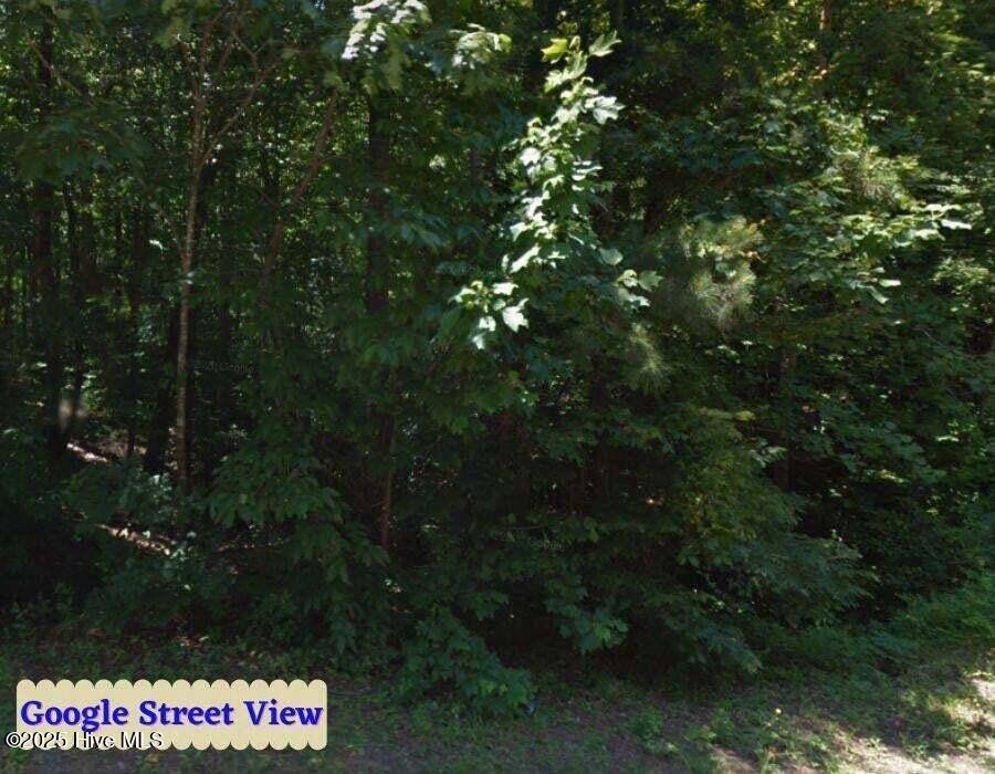 9231 Country Canyon Drive Property Photo 3