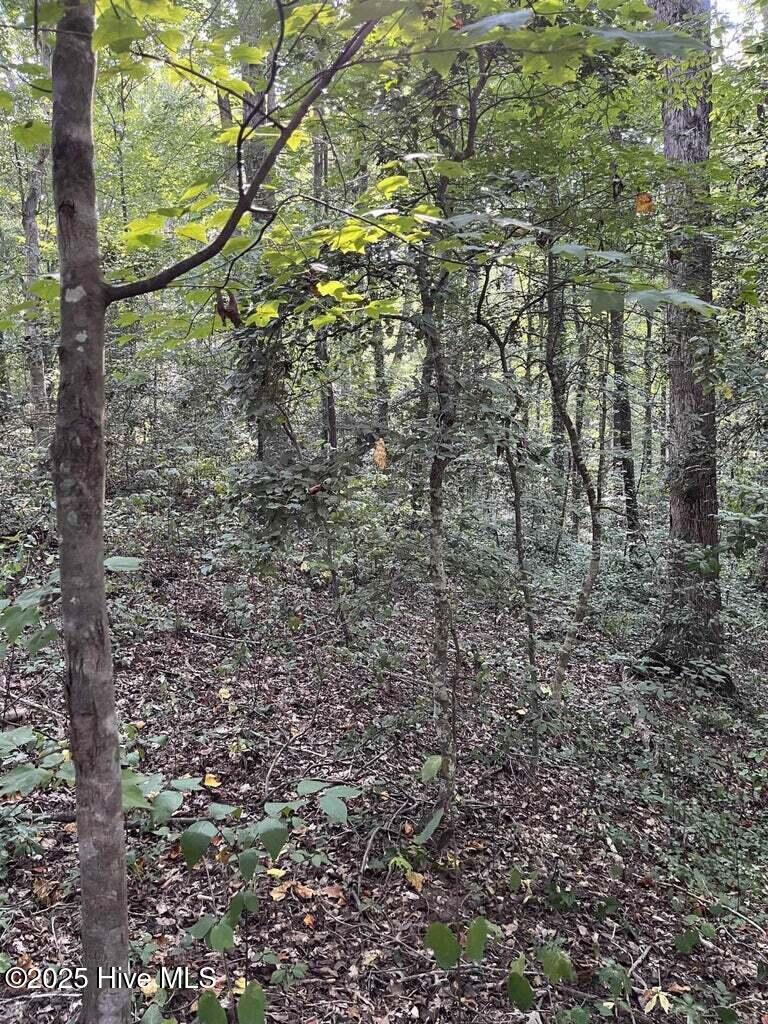 9231 Country Canyon Drive Property Photo 6