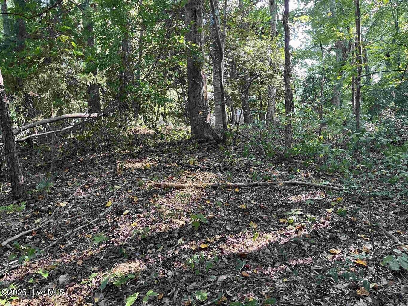 9231 Country Canyon Drive Property Photo 7