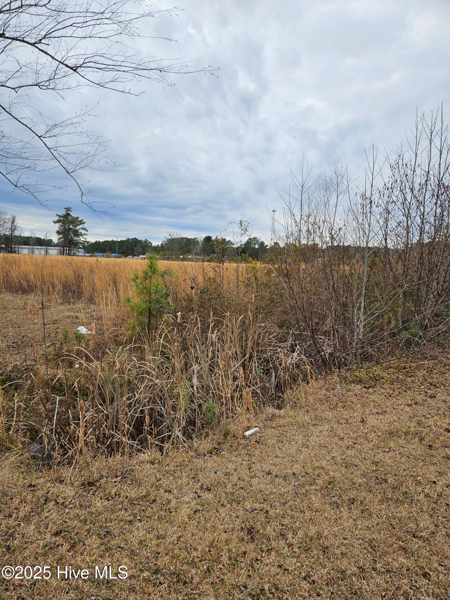 000 Us-117 Property Photo 1