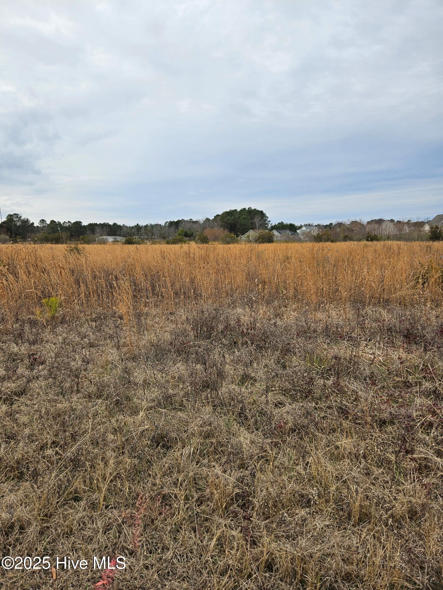 000 Us-117 Property Photo 3