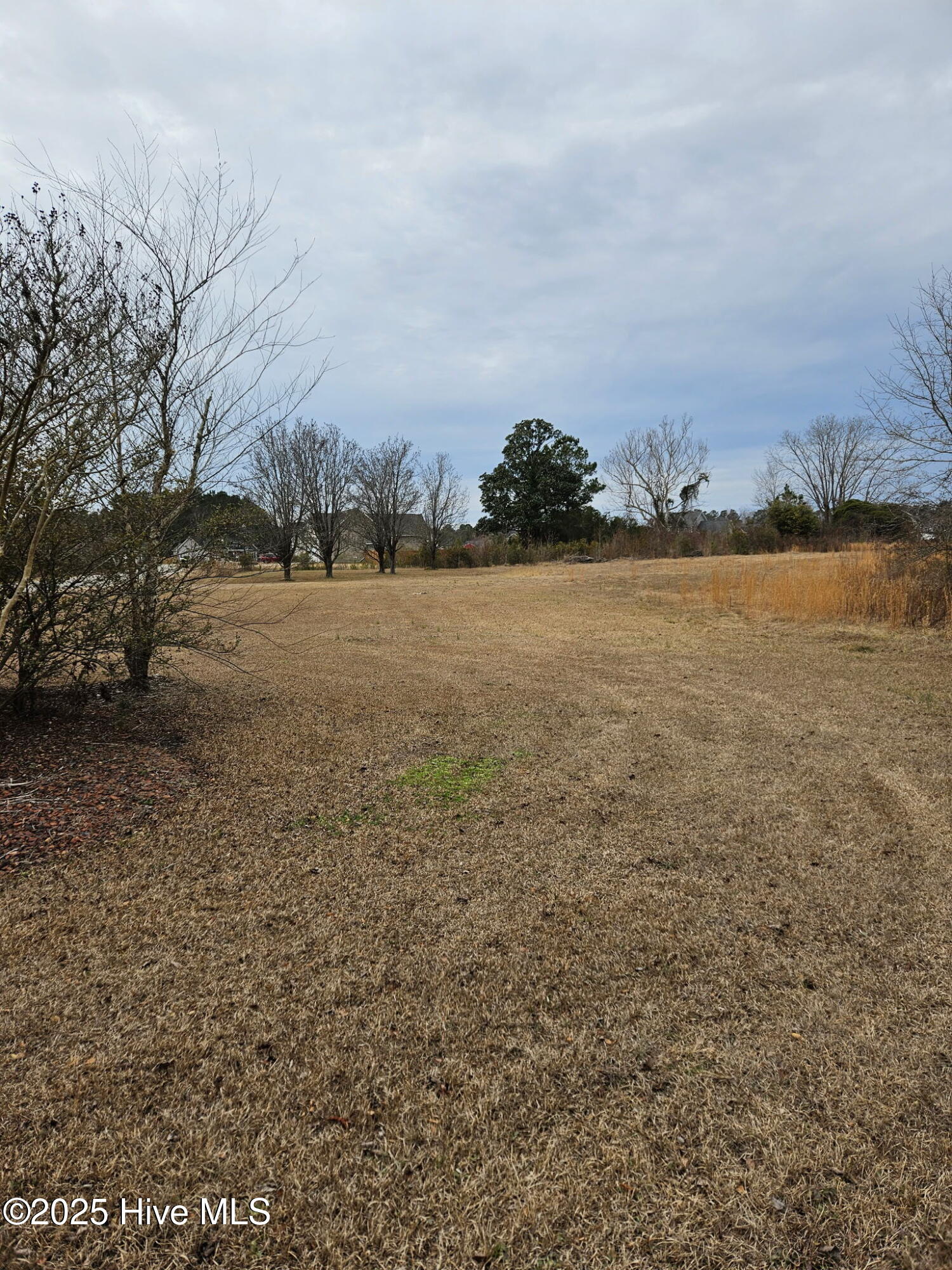 000 Us-117 Property Photo 9