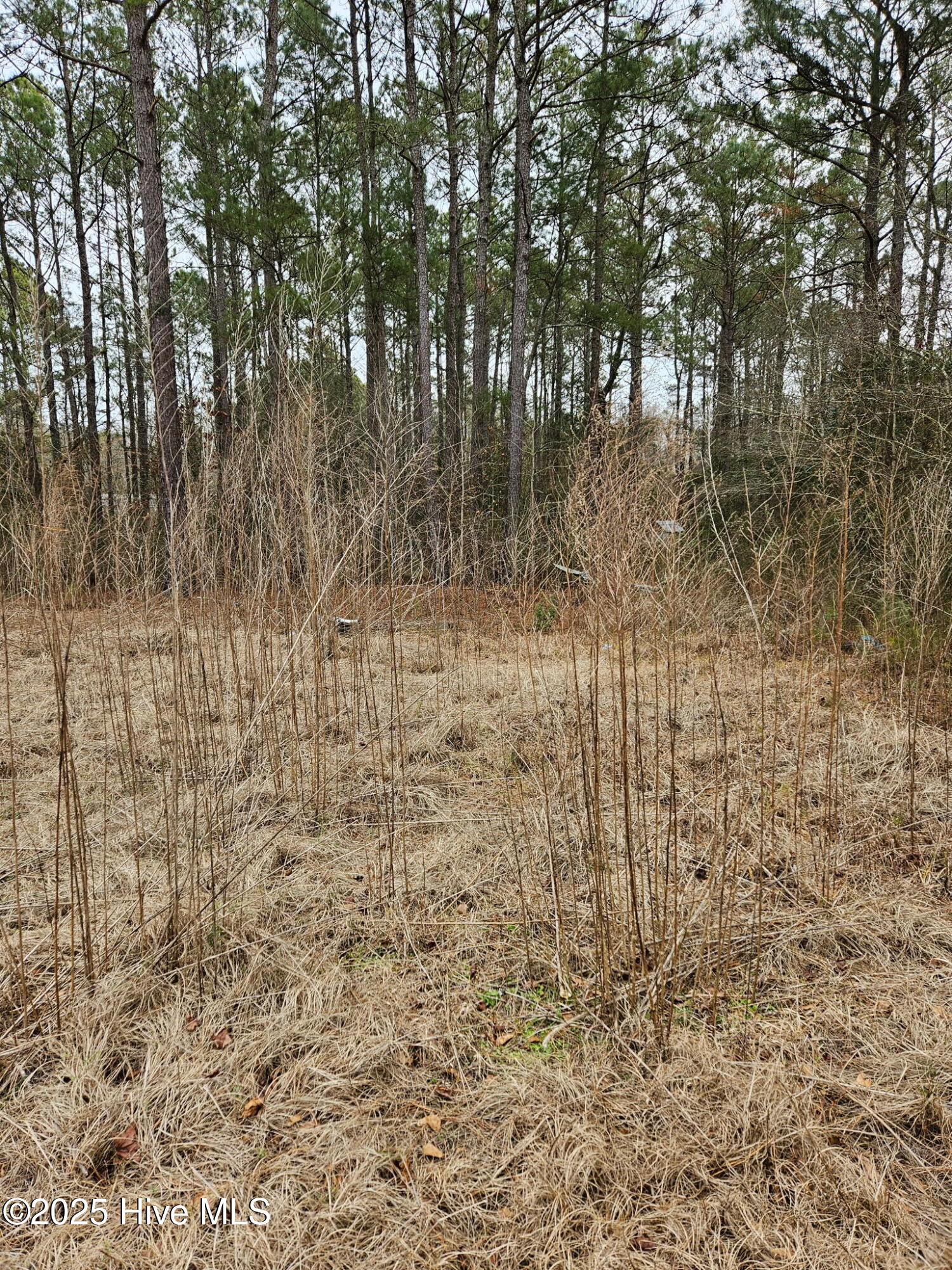 247 Old Ramsey Road Property Photo 1