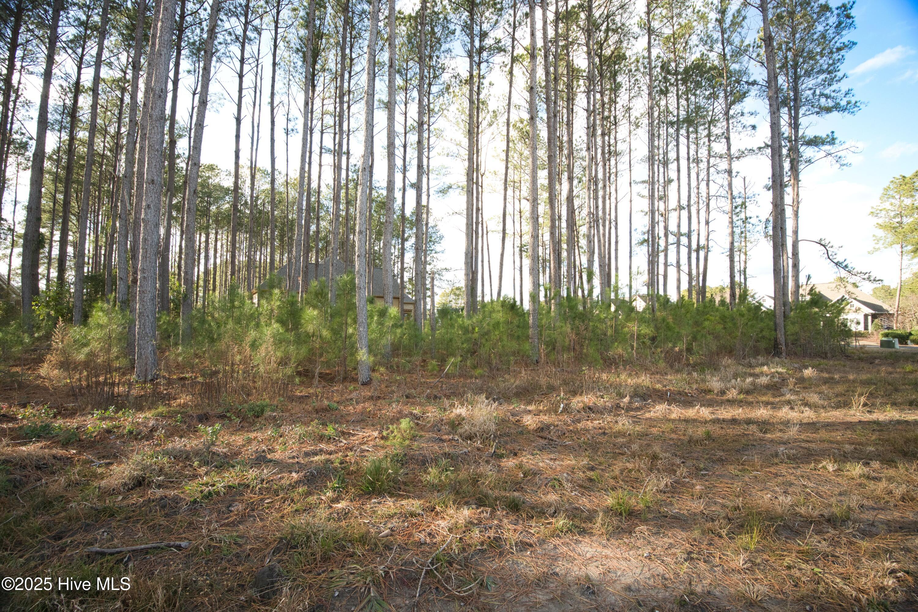 389 Crow Creek Drive Property Photo 3