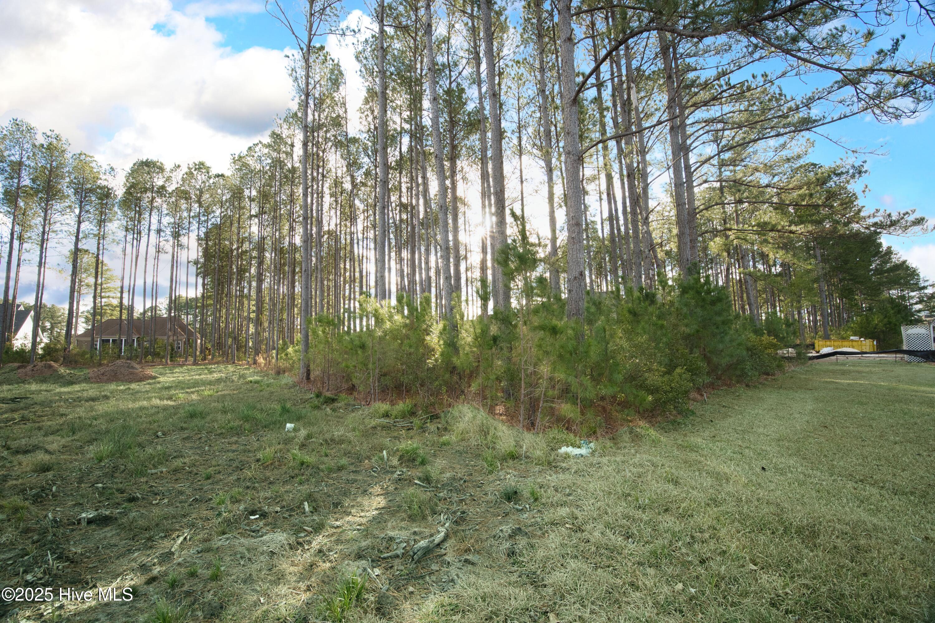 389 Crow Creek Drive Property Photo 4