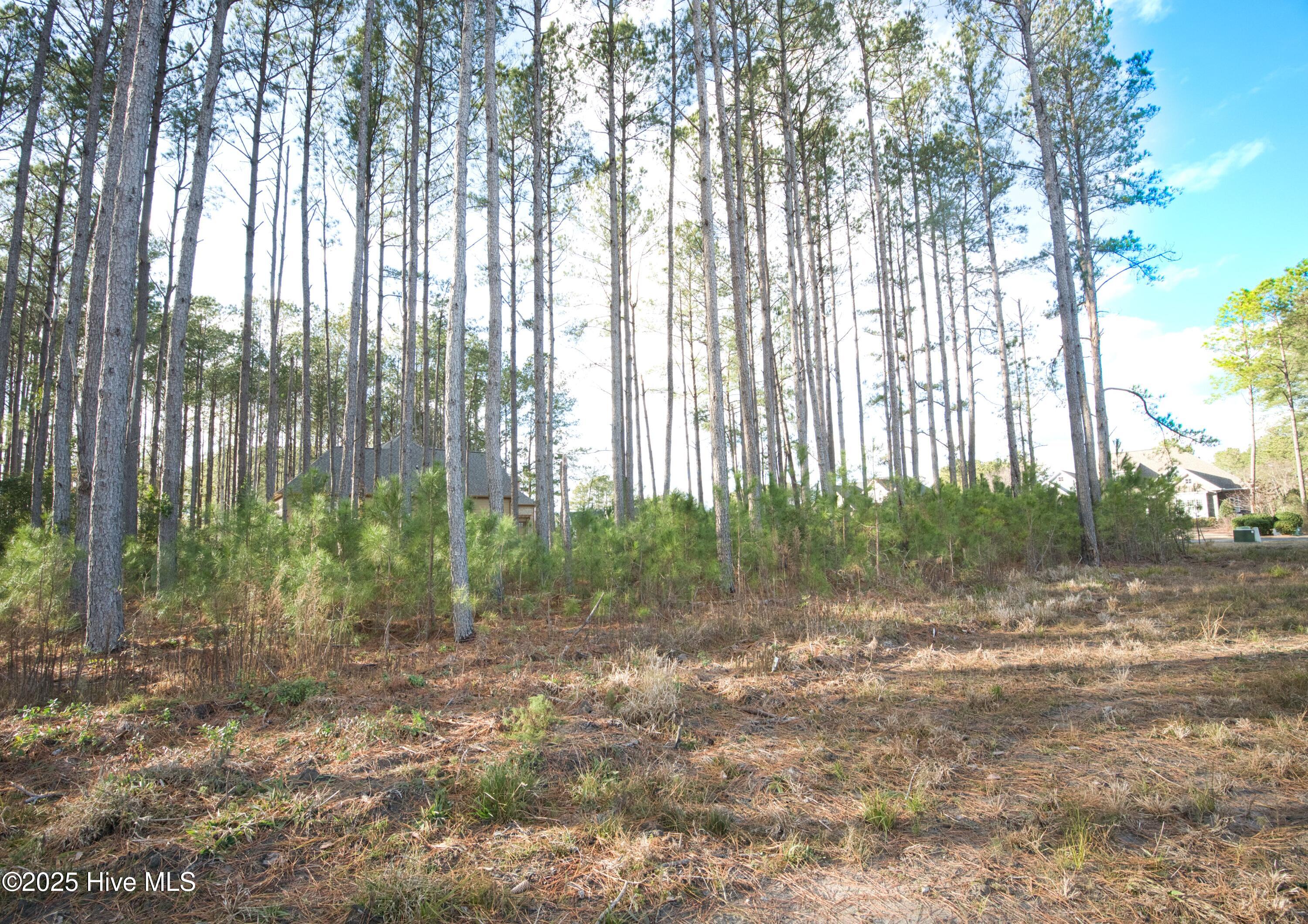 389 Crow Creek Drive Property Photo 6