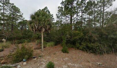 4279 River Birch Drive Property Photo 1