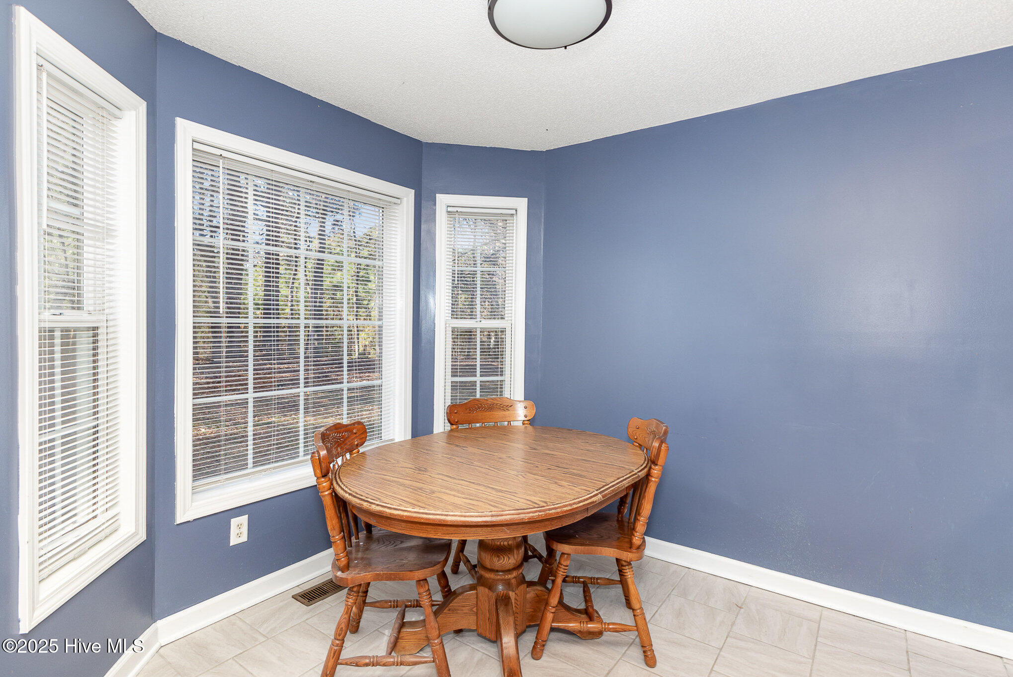 2924 Neals Creek Drive Property Photo 8