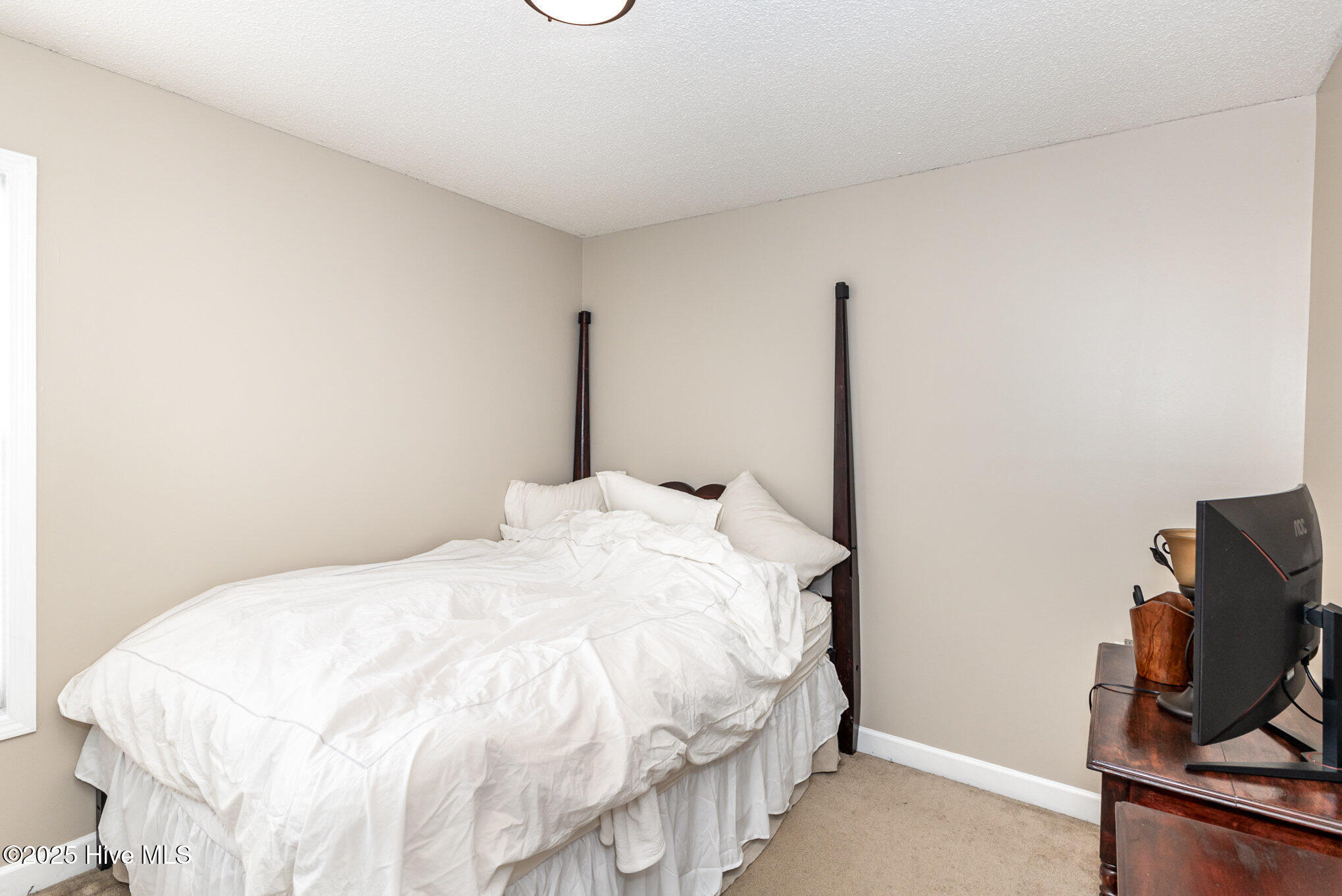 2924 Neals Creek Drive Property Photo 16