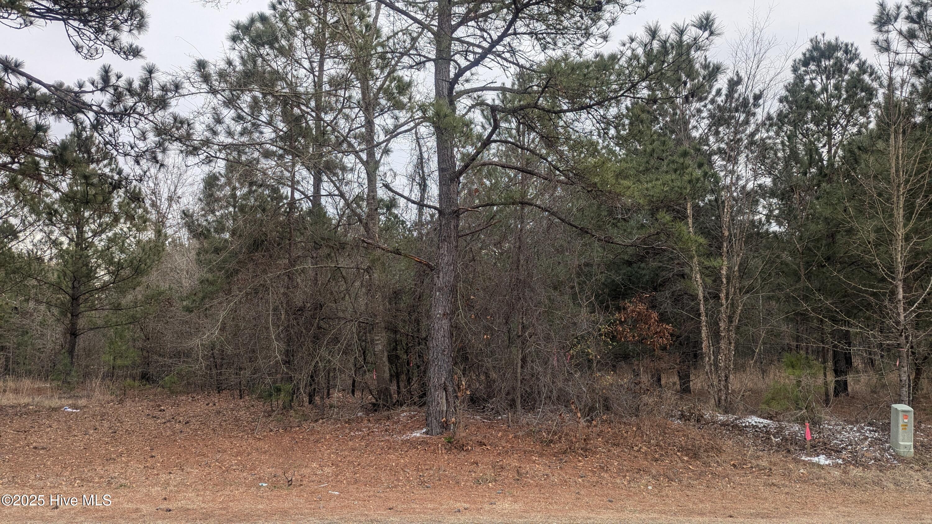 Tbd Hillmon Grove Road Property Photo 5