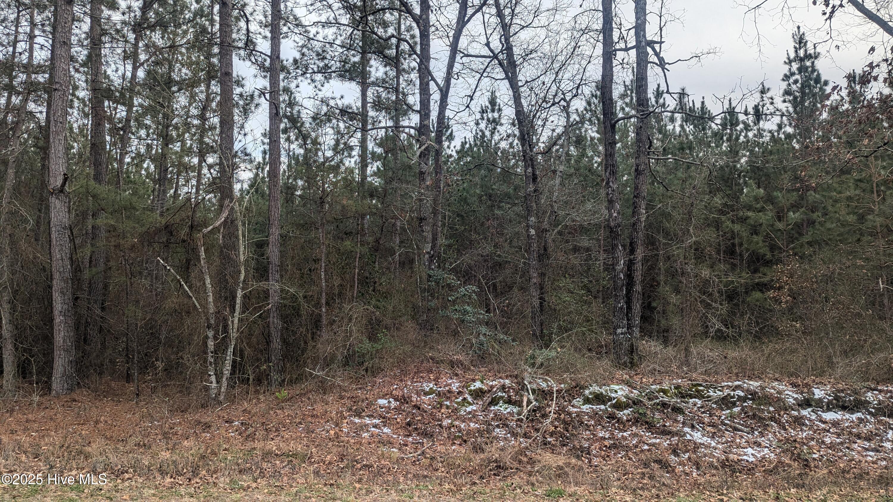 Tbd Cameron Hill Road Property Photo 4