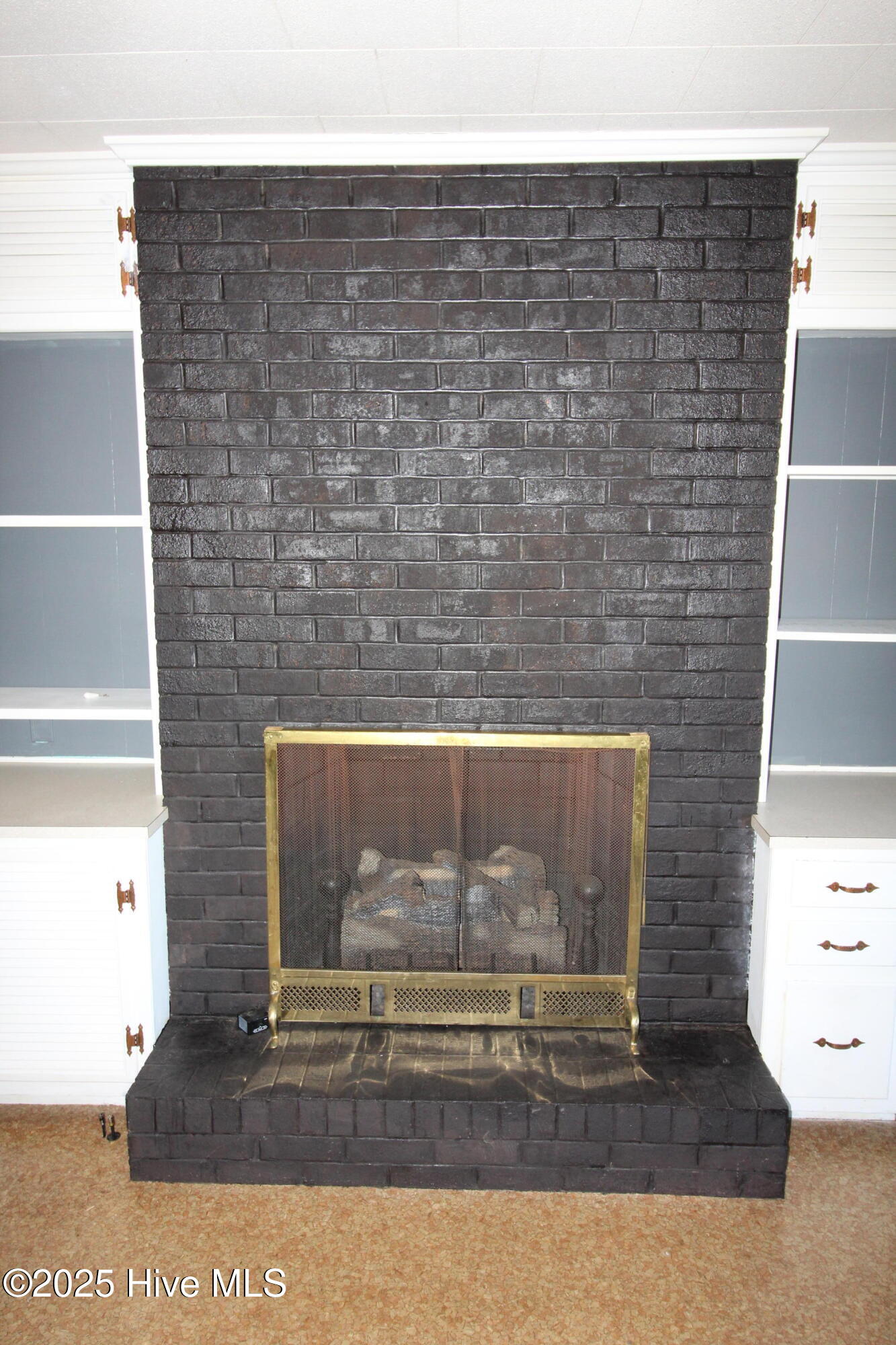209 Barnes Street Property Photo 6